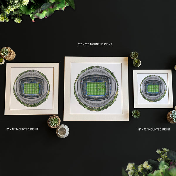 Three framed artwork prints of The Amex Stadium on a black background with decorative plants.
